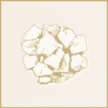 Load image into Gallery viewer, Angus Premium Diced Beef 500gm