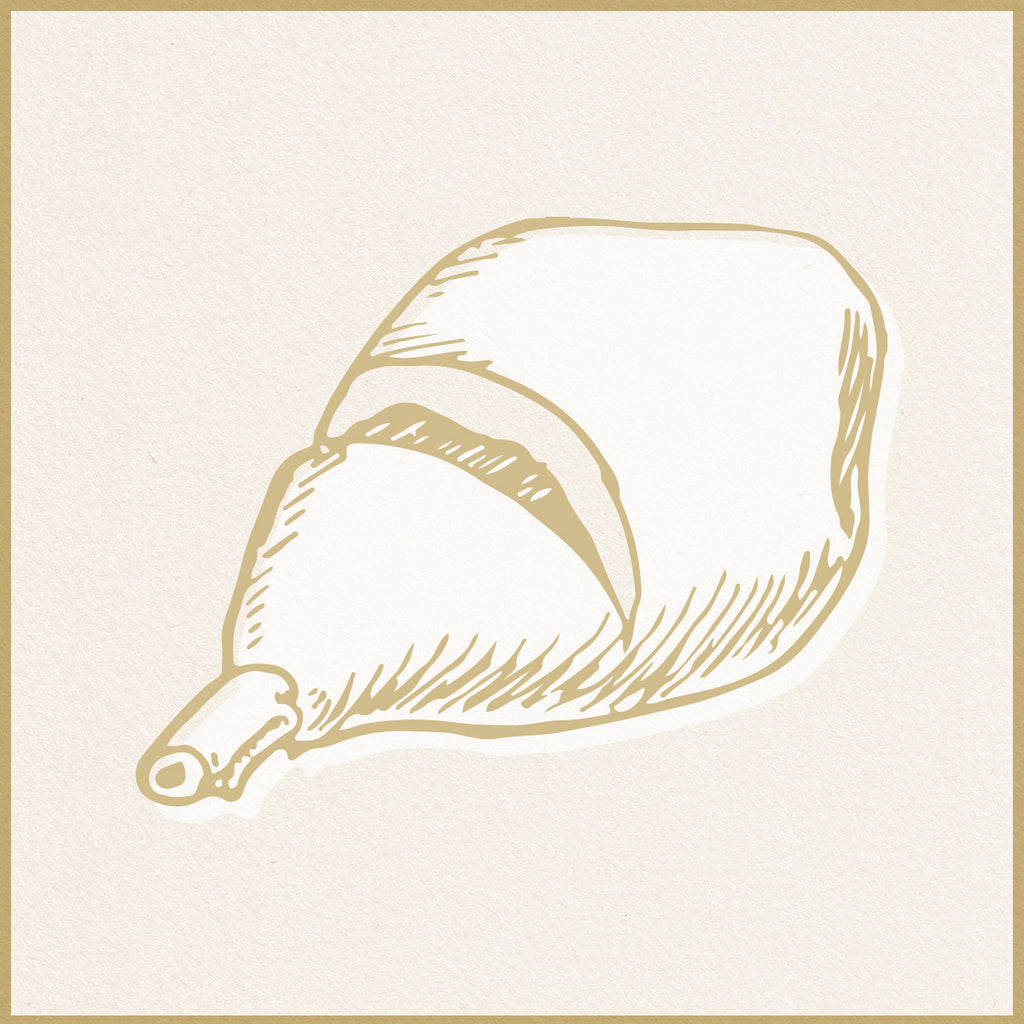 Whole New Zealand Pork Champagne Ham Bone-In 8-10kg